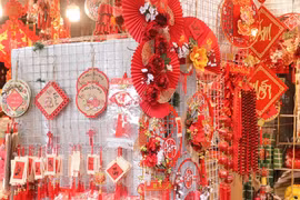 Bullicioso mercado de adornos del Tet en Ciudad Ho Chi Minh