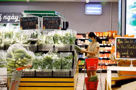 Vietnam por completar políticas para desarrollar infraestructura comercial moderna