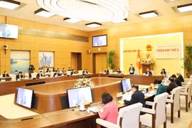 Prestan atención a la calidad de candidatos a las elecciones del Parlamento y Consejos Populares en Vietnam