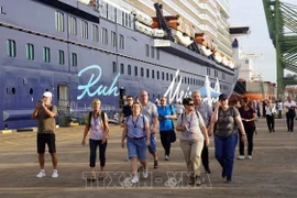 Localidades sureñas lanzan nuevos productos para atraer turistas a fin de año