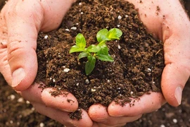 Vietnam producirá 25 por ciento de fertilizantes orgánicos para 2025