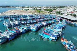 Vietnam fortalece inspección de actividades en puertos pesqueros