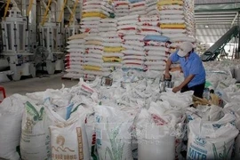 Buenas señales para exportación de arroz de Vietnam en 2023