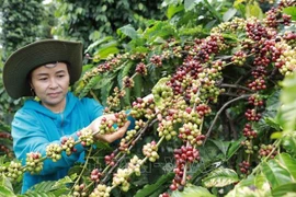 Productos vietnamitas podrán alcanzar metas de exportación para fines de 2022