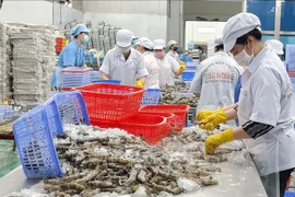 Exportaciones de camarones de Vietnam podrían alcanzar 4,3 mil millones de dólares en 2023