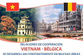 Relaciones Vietnam-Bélgica se desarrollan constantemente