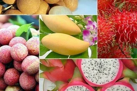 Vietnam ingresará más de cinco mil millones de USD por exportación de frutas para 2025