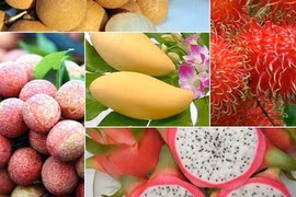Vietnam ingresará más de cinco mil millones de USD por exportación de frutas para 2025