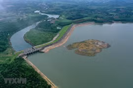 Sector ambiental de Vietnam logra notables resultados en 2020 pese a dificultades 