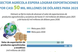 Sector agrícola de Vietnam esperar lograr exportaciones por casi 50 mil millones de dólares para 2025
