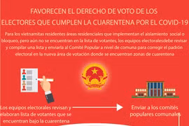 Favorecen el derecho de voto de los electores que cumplen la cuarentena por el COVID-19
