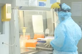 COVID-19: Vietnam suma 100 nuevos contagios