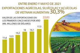 Crecen exportaciones agrícolas, silvícolas y acuícolas de Vietnam entre enero y mayo