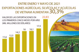 Crecen exportaciones agrícolas, silvícolas y acuícolas de Vietnam entre enero y mayo