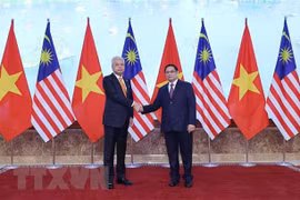 Vietnam y Malasia por robustecer la asociación estratégica bilateral 