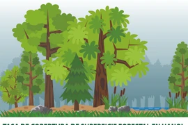Tasa de cobertura de superficie forestal de Hanoi alcanza 5,67 por ciento