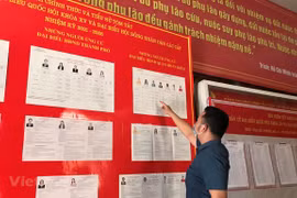 Elecciones parlamentarias 2021: Votantes vietnamitas eligen a personas talentosas para el país