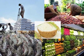 Productos agrícolas vietnamitas aumentan su presencia en mercado surcoreano