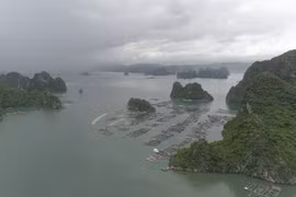 Bahía de Bai Tu Long: paisaje pintoresco de la provincia vietnamita de Quang Ninh