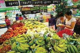 (Video) Apunta Vietnam a obtener fondo multimillonario por exportaciones hortofrutícolas en 2019