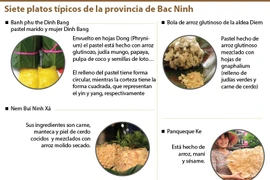 Siete platos típicos de la provincia de Bac Ninh