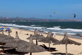 "Turismo verde" - dirección para la industria de ocio sostenible de Binh Thuan