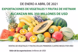 Exportaciones de vegetales y frutas de Vietnam alcanzan mil 350 millones de dólares