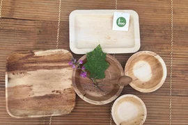 (Televisión) Provincia vietnamita produce tazas y platos ecológicos de penca de areca 