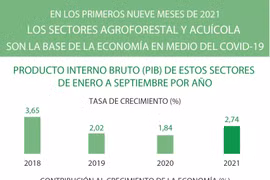 Sectores agroforestal y acuícola de Vietnam registraron crecimiento en los primeros nueve meses de 2021