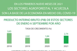 Sectores agroforestal y acuícola de Vietnam registraron crecimiento en los primeros nueve meses de 2021