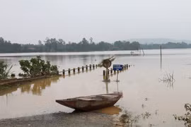 Pobladores en provincia centrovietnamita continúan combate contra las inundaciones 