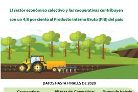 El sector económico colectivo y las cooperativas contribuyen con un 4,8 por ciento al Producto Interno Bruto del país