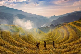 Sube Vietnam en Índice de Competitividad de Viajes y Turismo 2019