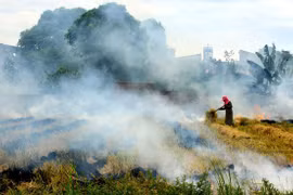 Vietnam reducirá nueve por ciento de emisiones de gases de efecto invernadero para 2030