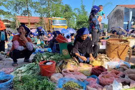 Vívido mercado rural de la minoría étnica Ha Nhi en la comuna montañosa de Y Ty
