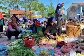 Vívido mercado rural de la minoría étnica Ha Nhi en la comuna montañosa de Y Ty
