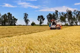 Flexibilidad y adaptabilidad deciden éxito del sector agrícola de Vietnam en 2021