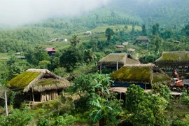 Techos cubiertos de musgo, únicos en la cordillera de Tay Con Linh