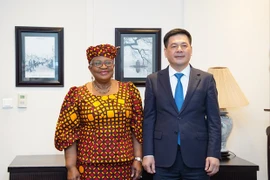 Vietnam y OMC acuerdan promover el comercio multilateral