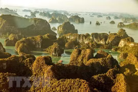 10 mejores actividades para explorar la bahía de Ha Long