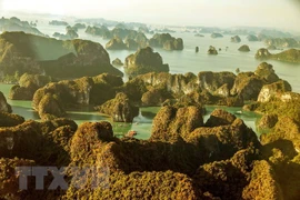 10 mejores actividades para explorar la bahía de Ha Long