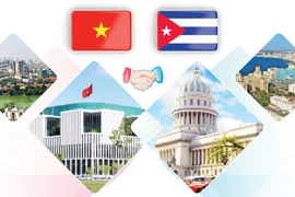 Nexos tradicionales especiales Vietnam - Cuba