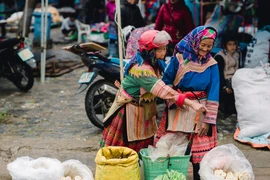 [Video] Feria en las tierras altas septentrionales de Bac Ha