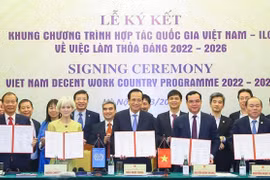 Tres prioridades del trabajo decente para Vietnam y OIT