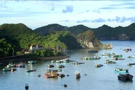 (Televisión) Vietnam promueve turismo doméstico en medio de COVID-19 