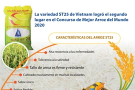 La variedad ST25 de Vietnam logró el segundo lugar en el Concurso de Mejor Arroz del Mundo 2020