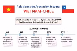 Relaciones de Asociación Integral Vietnam - Chile