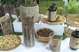 (Televisión) Productos cosméticos orgánicos vietnamitas conquistan mercado británico 