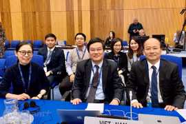 Vietnam refuerza cooperación en seguridad nuclear