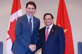 Asociación Integral Vietnam-Canadá alcanza nuevo hito